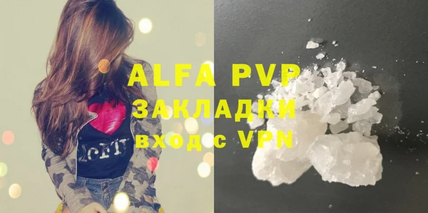 СК Алексин