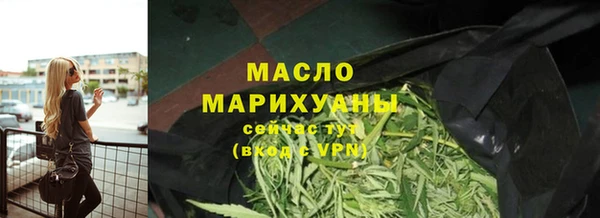 СК Алексин