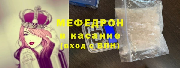 шишки Абаза