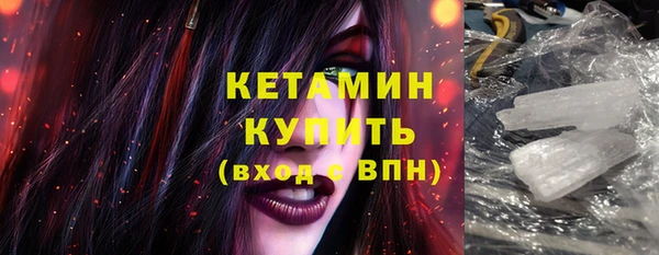 СК Алексин