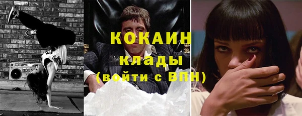 дживик Алзамай