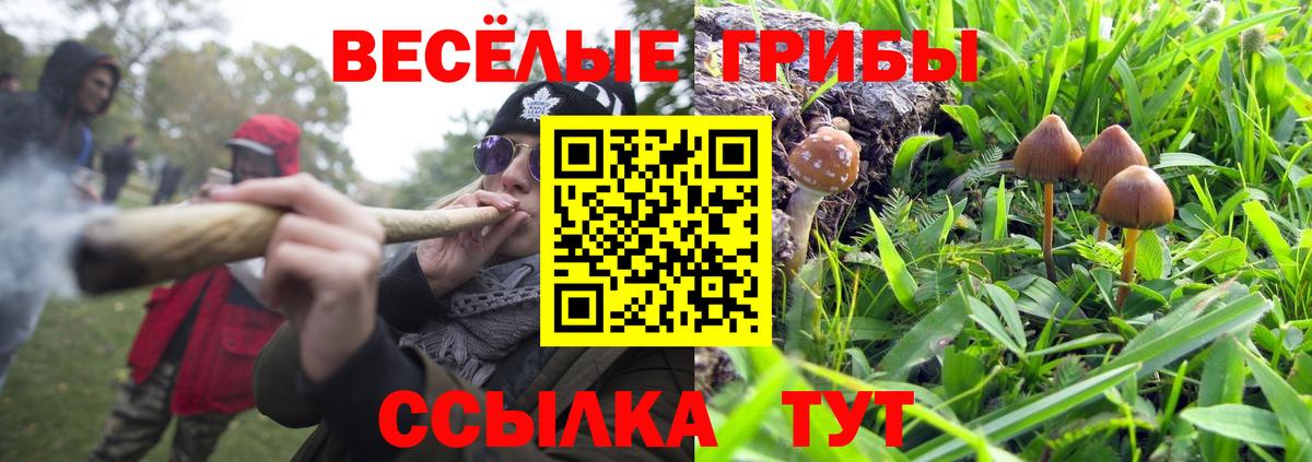 Псилоцибиновые грибы GOLDEN TEACHER Тулун