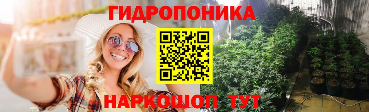 Бошки марихуана планчик  Каннабис THC 21%  Марихуана SATIVA & INDICA  Вход с VPN  Тулун 